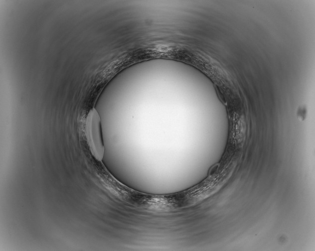 X0000099300562200805161351