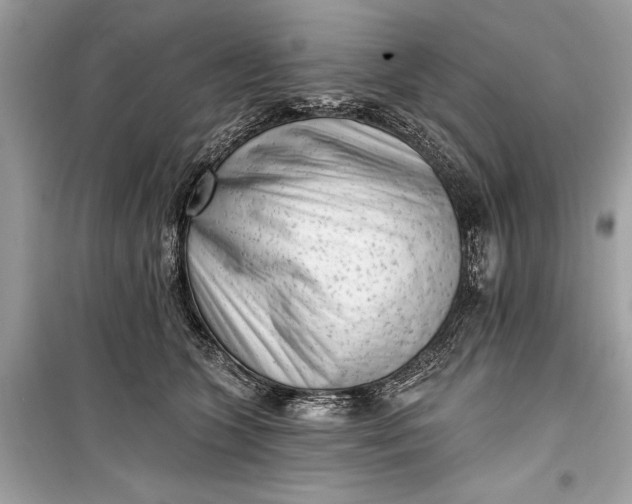 X0000099300563200805161351