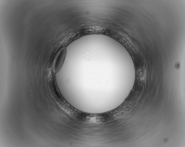 X0000099300564200805161351