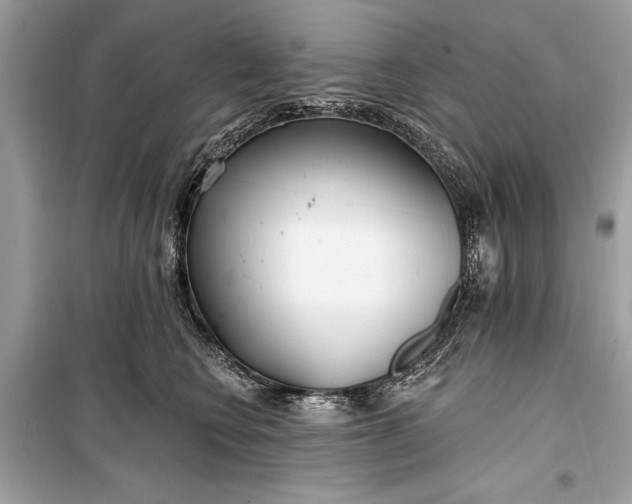 X0000099300566200805161351