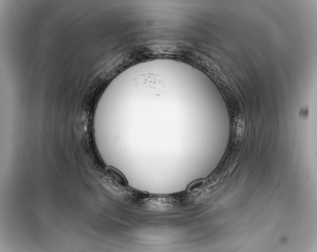 X0000099300567200805161351