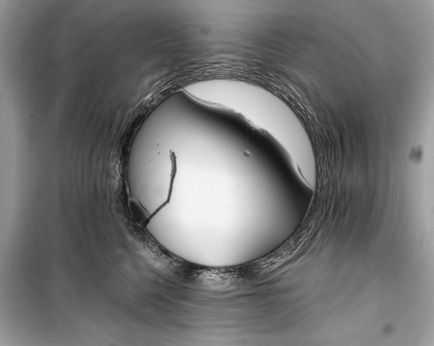 X0000099300568200805161351