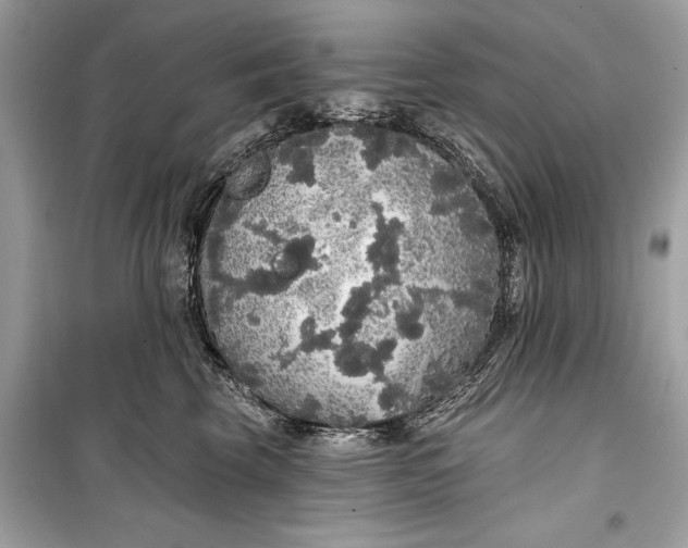 X0000099300569200805161351