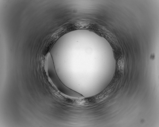 X0000099300570200805161351