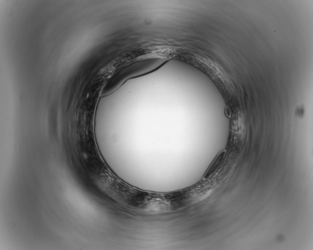 X0000099300572200805161351