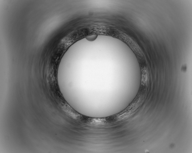 X0000099300573200805161351