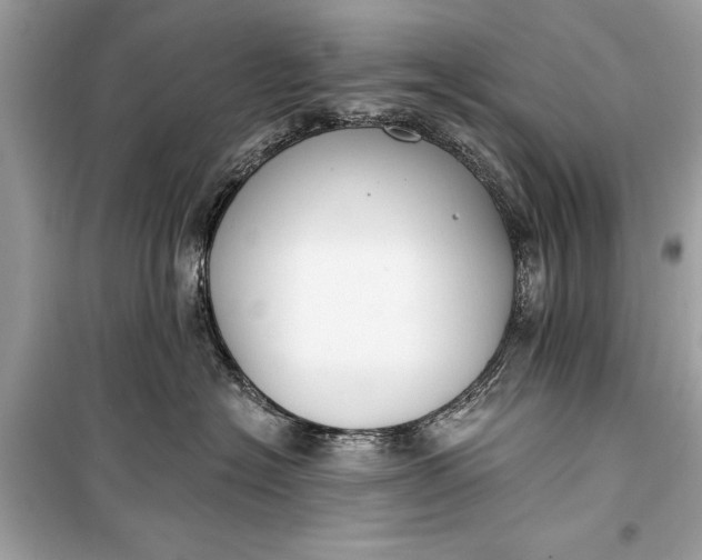 X0000099300574200805161351