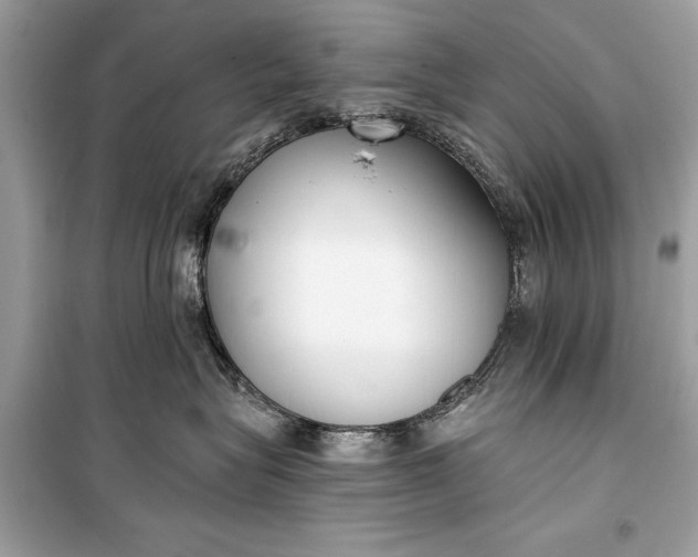 X0000099300575200805161351