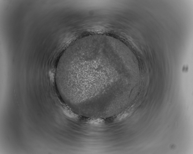 X0000099300576200805161351