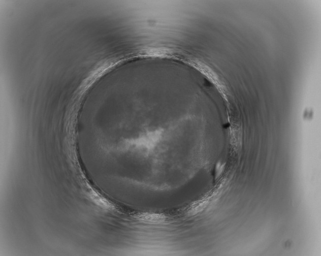 X0000099300577200805161351