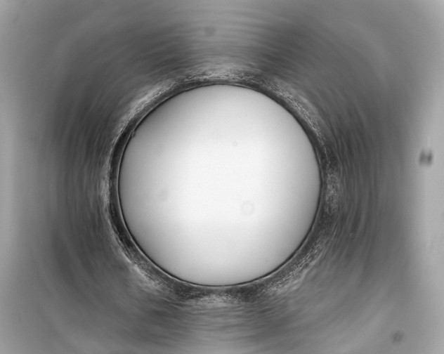 X0000099300578200805161351