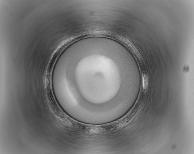 X0000099300579200805161351