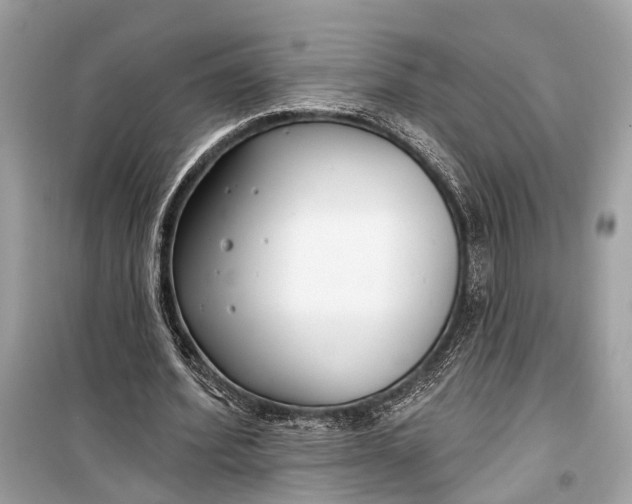 X0000099300580200805161351