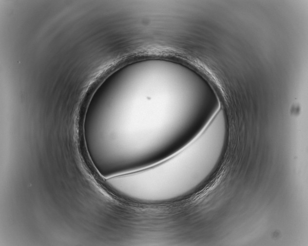 X0000099300581200805161351