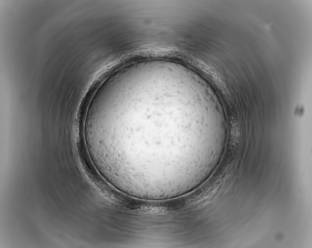 X0000099300582200805161351