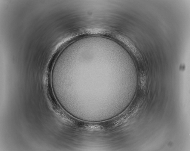 X0000099300583200805161351