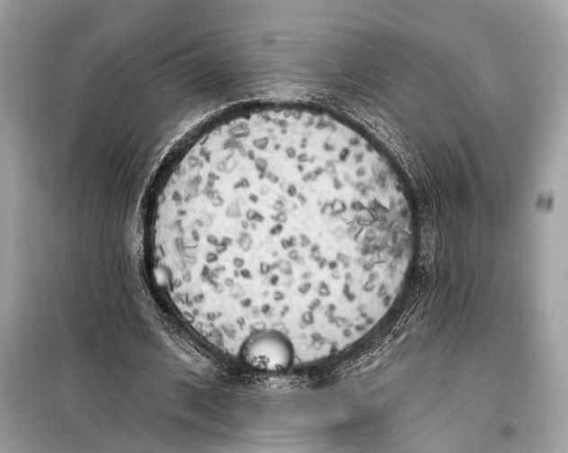 X0000099300584200805161351