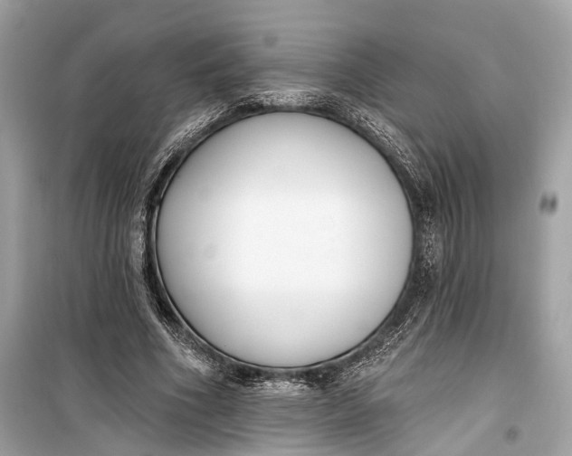 X0000099300586200805161351