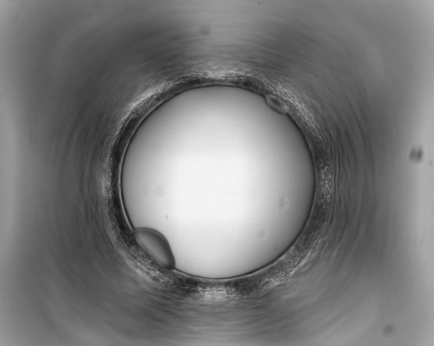 X0000099300587200805161351