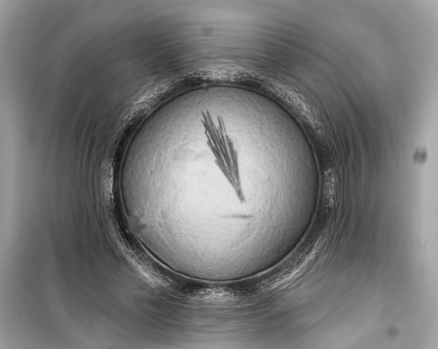 X0000099300589200805161351