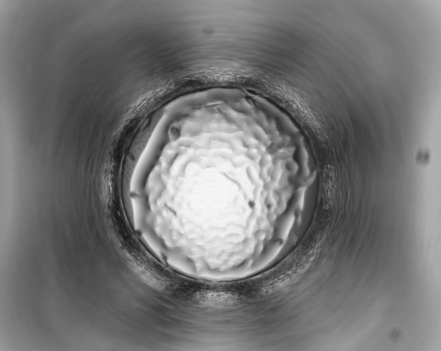 X0000099300590200805161351