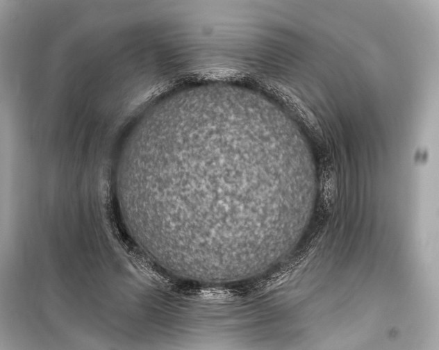 X0000099300591200805161351