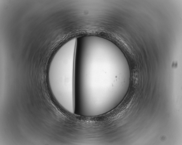 X0000099300593200805161350