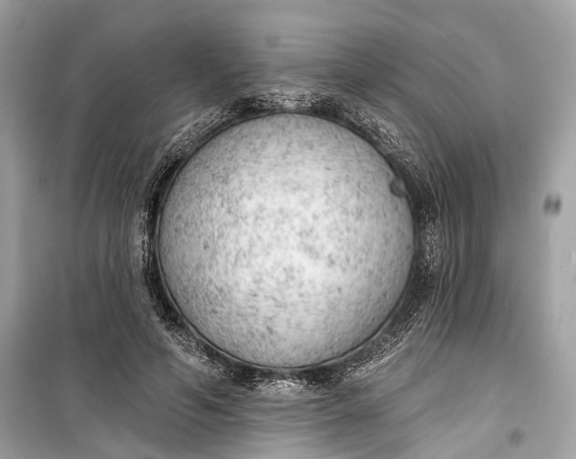 X0000099300594200805161350