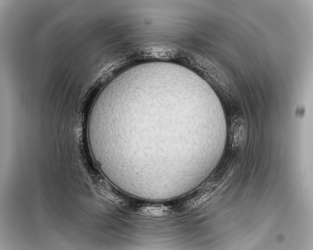 X0000099300595200805161350