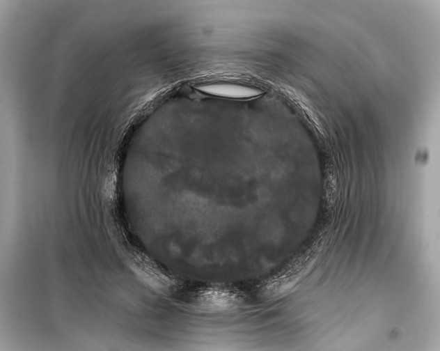 X0000099300596200805161350