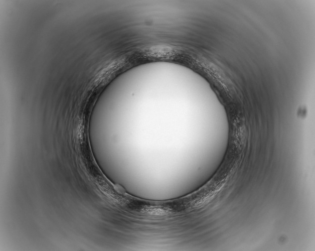 X0000099300597200805161350