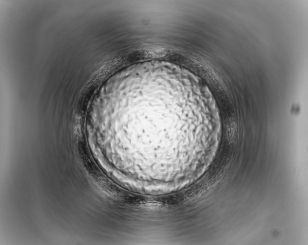 X0000099300598200805161350