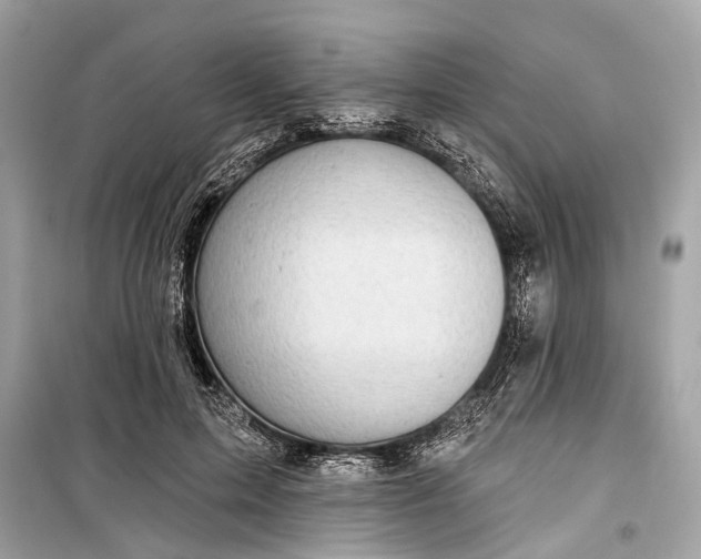 X0000099300599200805161350