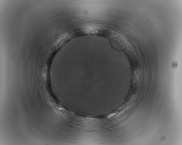 X0000099300600200805161350