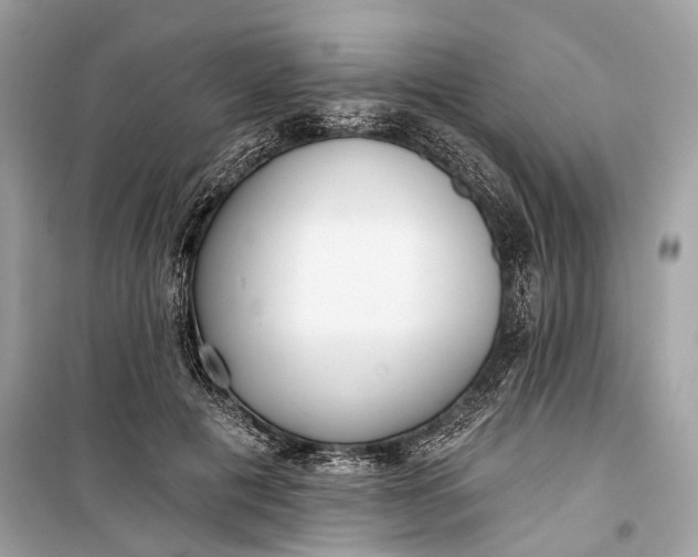 X0000099300601200805161350