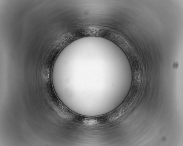 X0000099300602200805161350