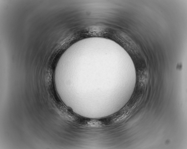 X0000099300603200805161350