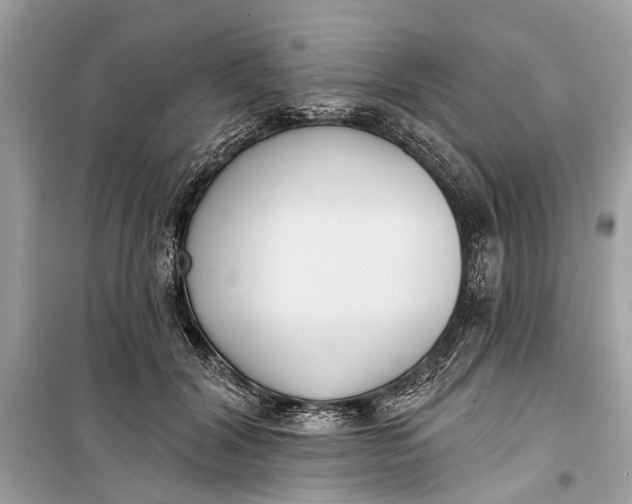 X0000099300604200805161350