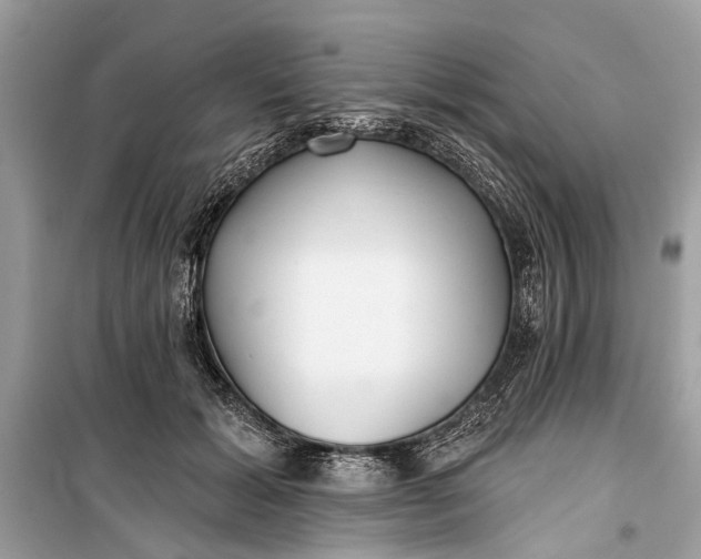 X0000099300605200805161350