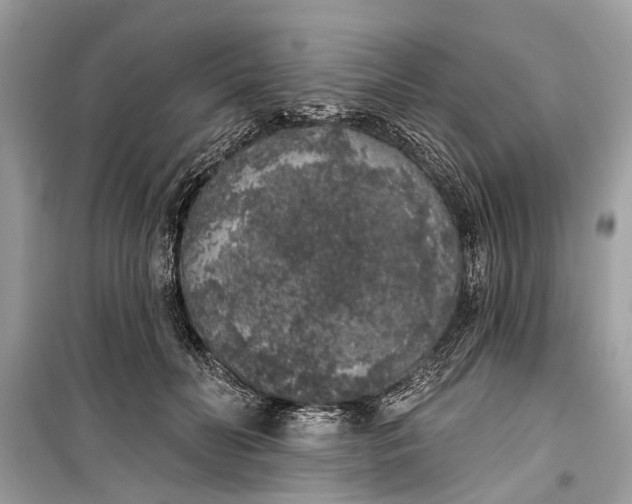 X0000099300606200805161350