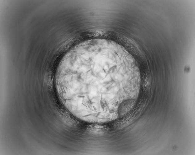 X0000099300607200805161350