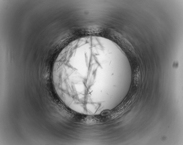 X0000099300608200805161350