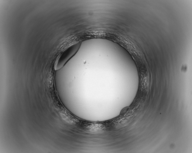 X0000099300609200805161350