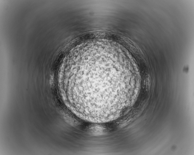 X0000099300610200805161350