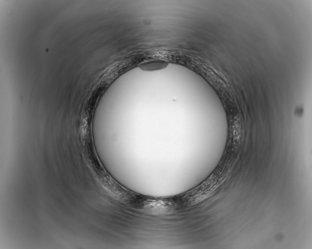 X0000099300611200805161350