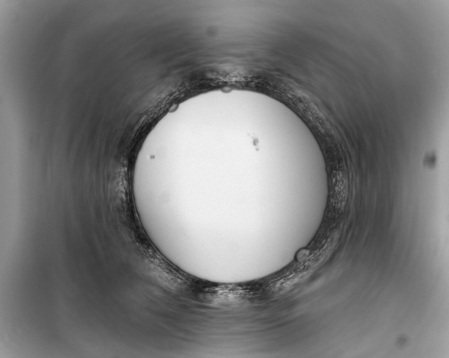 X0000099300612200805161350