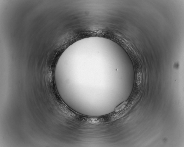 X0000099300613200805161350