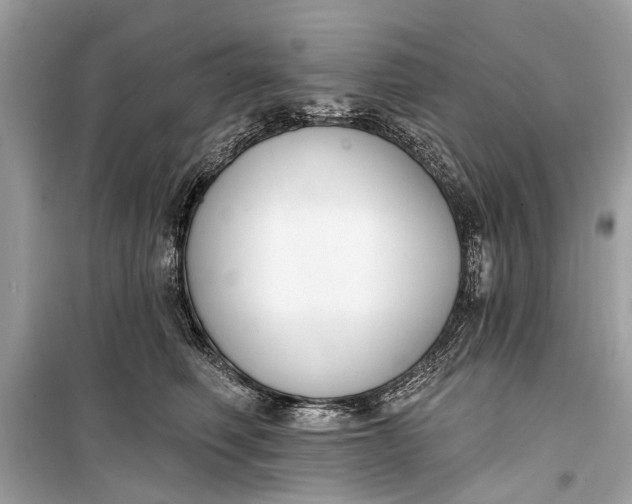 X0000099300614200805161350