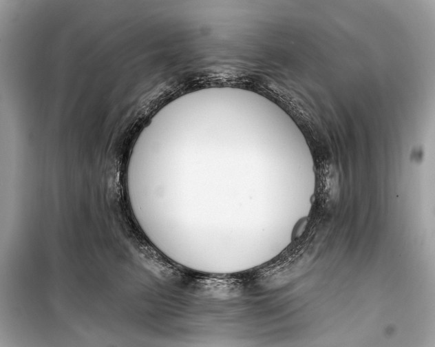 X0000099300615200805161350