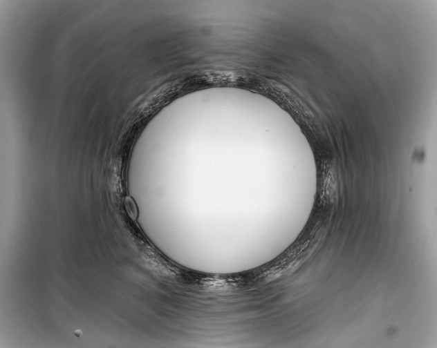 X0000099300616200805161350